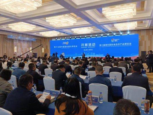 潍坊“新薯光”